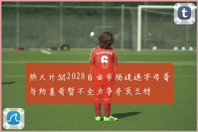 热火计划2028自由市场追逐字母哥与约基奇暂不全力争夺莫兰特